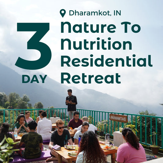Nature to Nutrition Gut Health Retreat — 3-day Residential Program