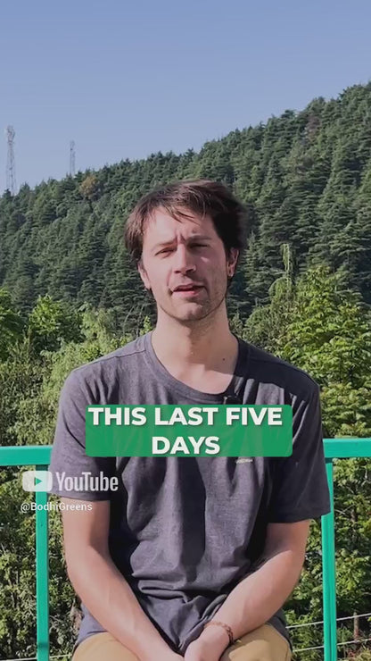 Nourish to Awaken: 7 Days to Know Your Nutrition | March 11-17, 2026